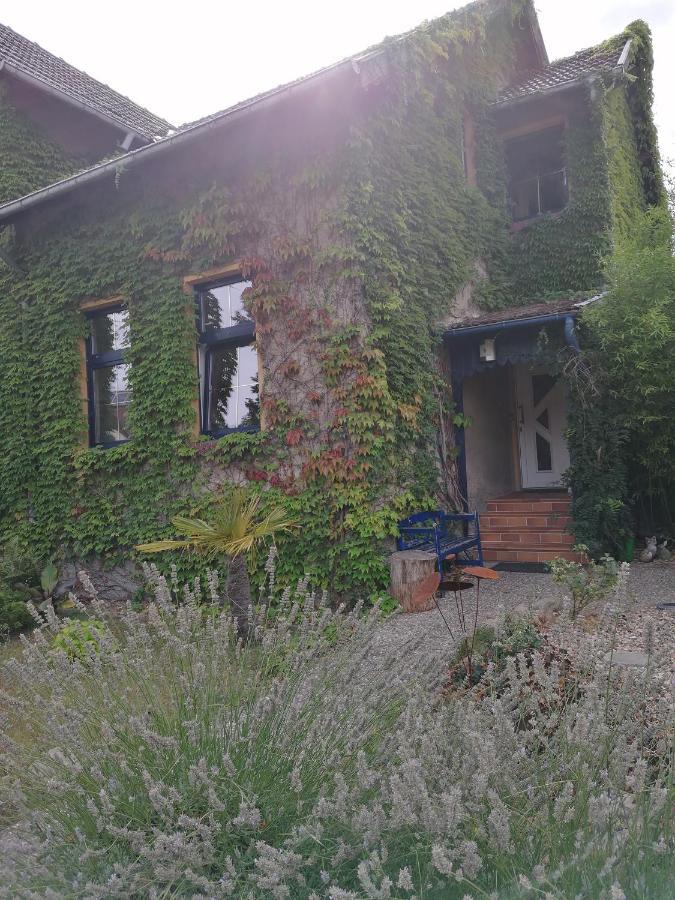 Yourhome-Pm Michendorf Exterior foto